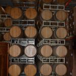 SanAntonio_0150 (June 11, 2016)